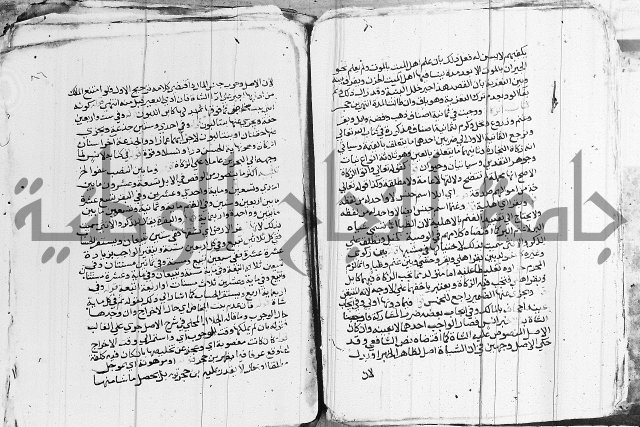 الزيادي على المنهج 