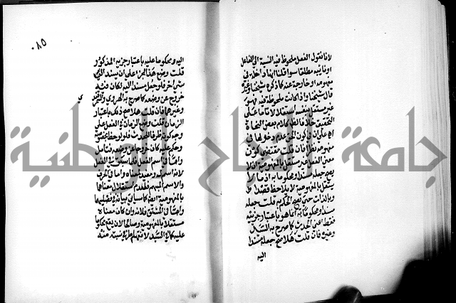 الرسالة البيانية