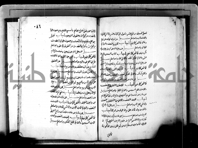 الفتاوى الامينية