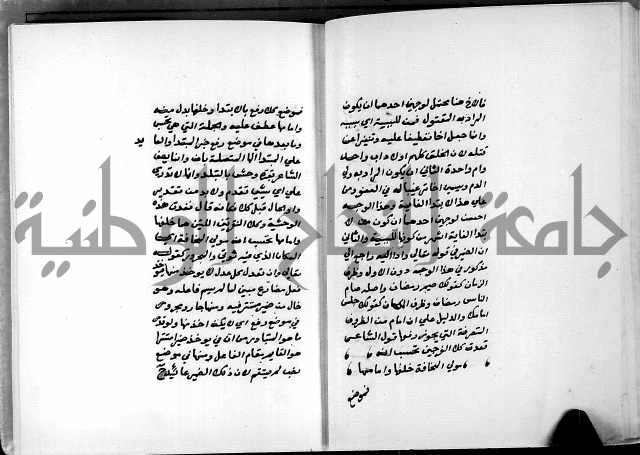 شرح شذور الذهب في معرفة كلام العرب 