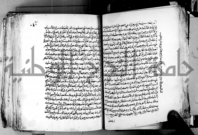 فتاوى احمد زائد الغزي 