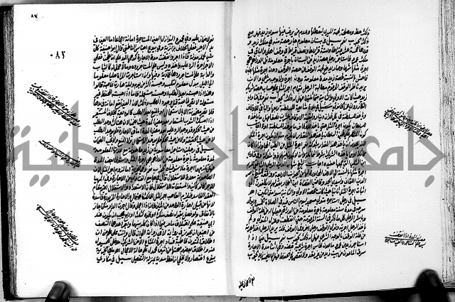 الجواهر الدورية في تنقيح الفتاوى الحامدية ج2 