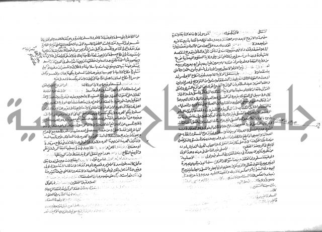 شرح الرملي 3