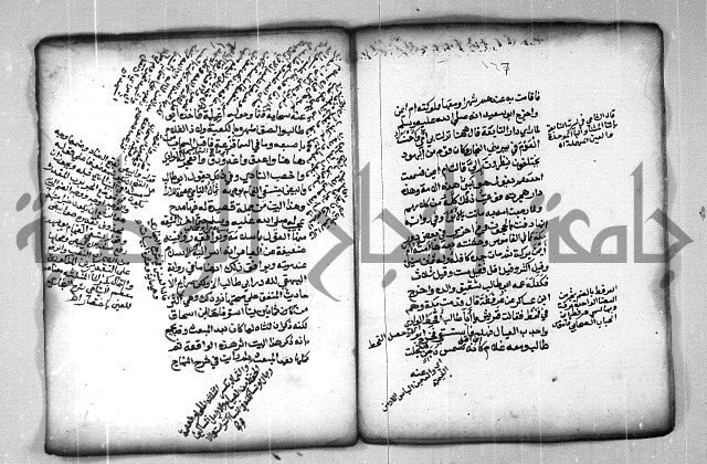 شرح الهمزية  