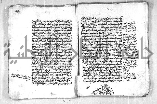 فتح الجليل  على شرح ابن عقيل 