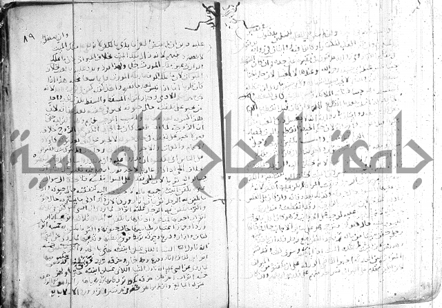 الفتاوى الولوالجية  