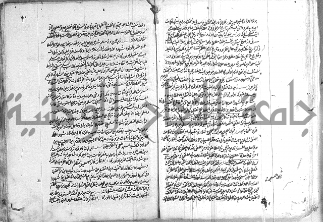 فتاوي تركية