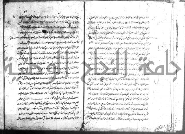 منية الفتى 