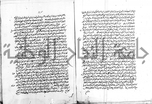 كتاب في اللغة العربية