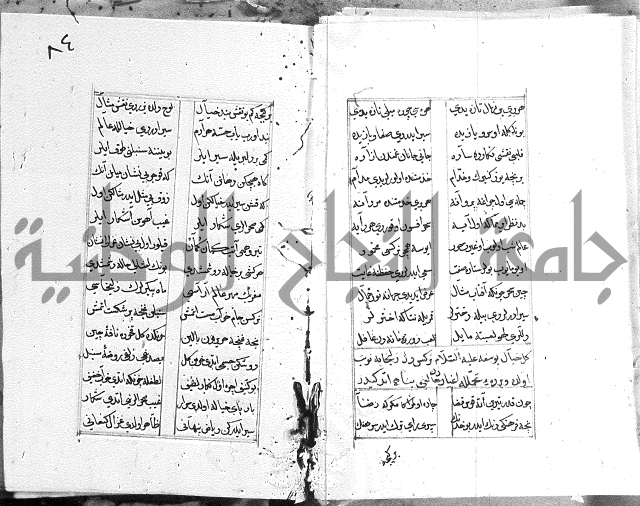 كتاب يوسف زليخا المؤلف 