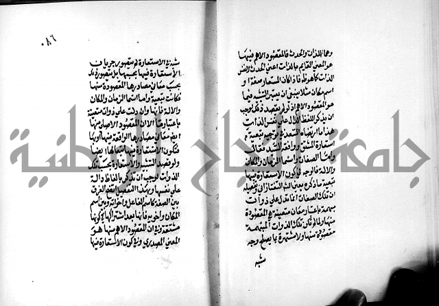 الرسالة البيانية