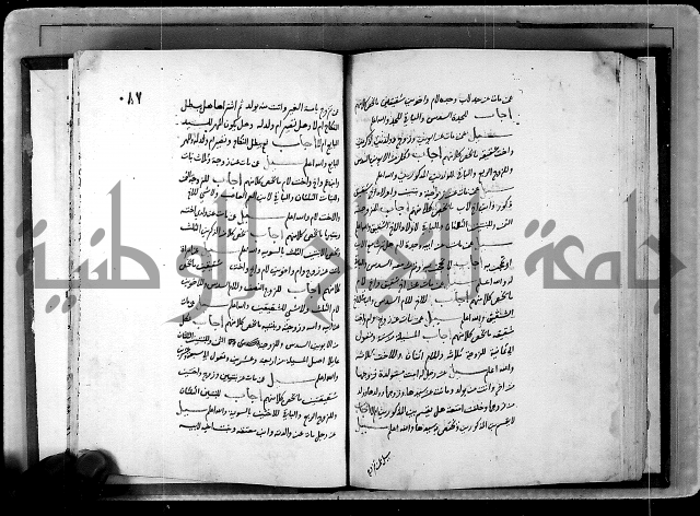 الفتاوى الامينية