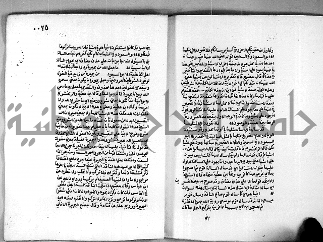 حاشية الجمل على الجلالين 