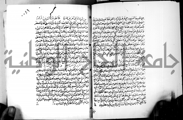 البحر الفائض في شرح ديوان ابن الفارض البوريني 