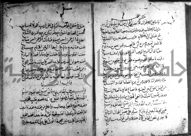 ديوان الصرصري