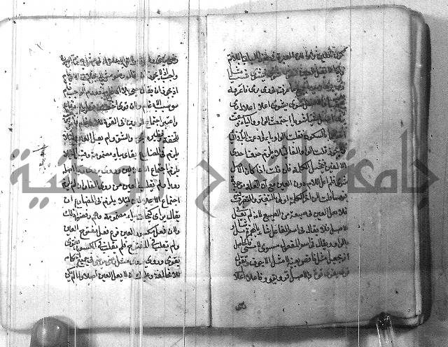 التفنن في الصرف