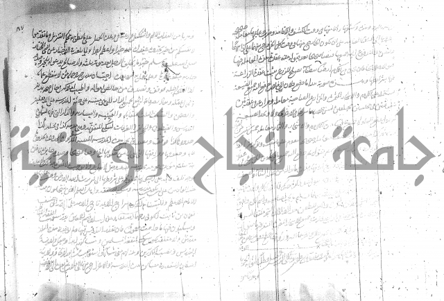 البسيط في الشروط