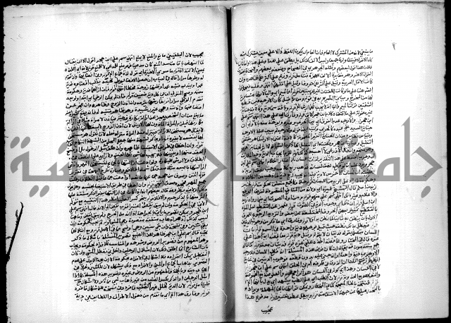 مجهول فقة 55