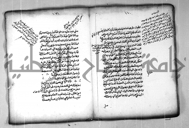 شرح الهمزية  