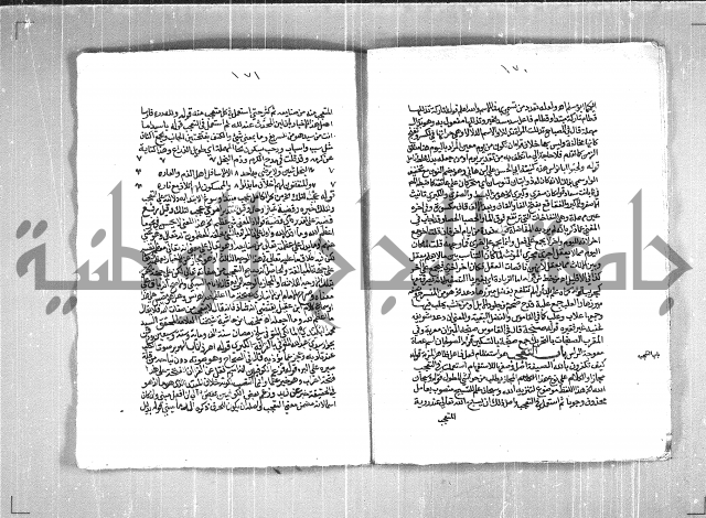 حاشية السجاعي على شرح قطر الندى وبل الصدى لابن هشام