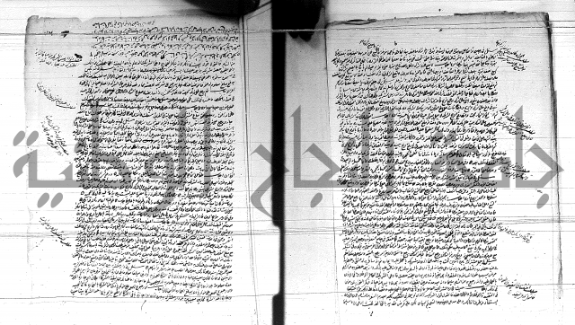 الفتاوى الحسينية