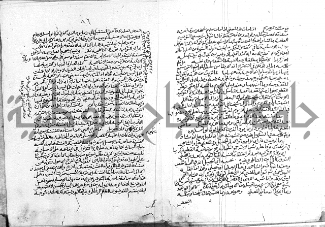 كتاب في اللغة العربية