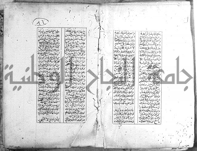 خلاصة التنوير 