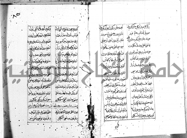 كتاب يوسف زليخا المؤلف 