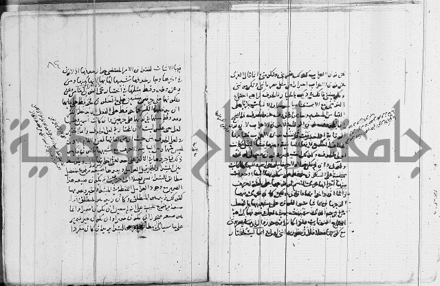 نحو - شرح الكافية