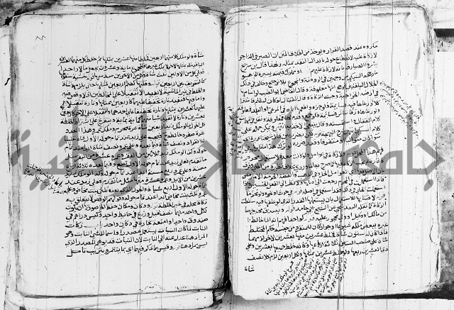 الزيادي على المنهج 