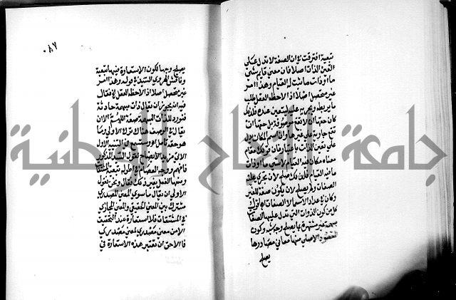 الرسالة البيانية