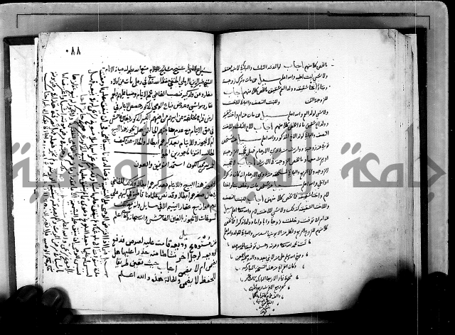 الفتاوى الامينية