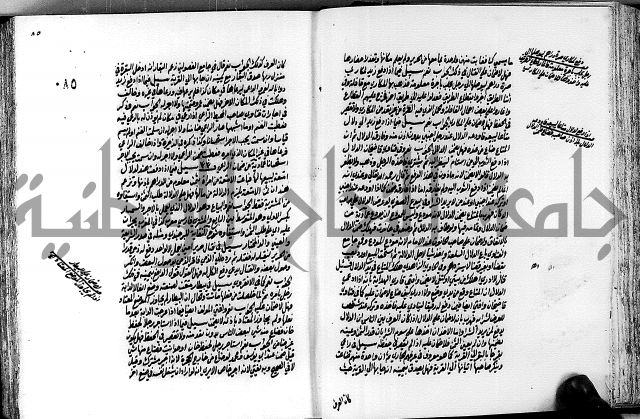 الجواهر الدورية في تنقيح الفتاوى الحامدية ج2 