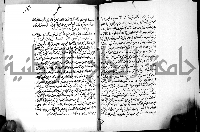 البحر الفائض في شرح ديوان ابن الفارض البوريني 