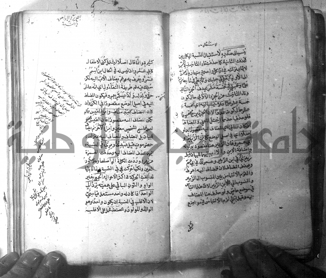 شرح الشافية 