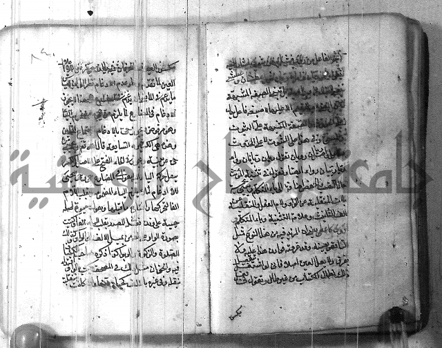 التفنن في الصرف