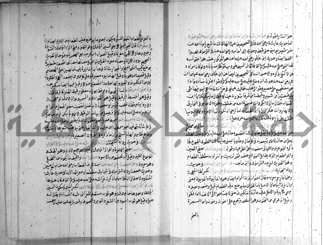 شرح الشهاب على النسفي