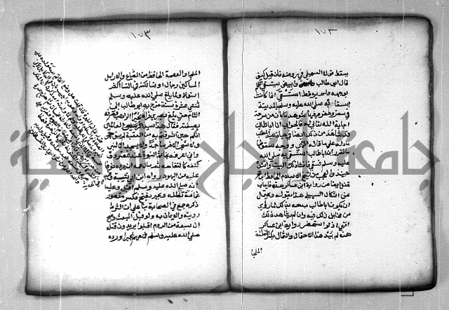 شرح الهمزية  