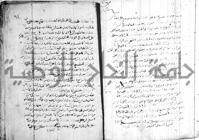 الفتاوى الولوالجية  