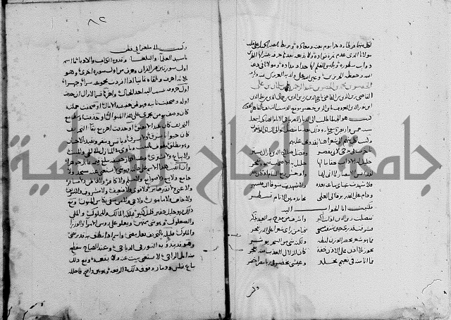 كتاب في الادب 