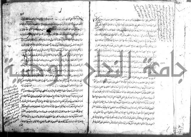 منية الفتى 