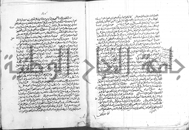 كتاب في اللغة العربية