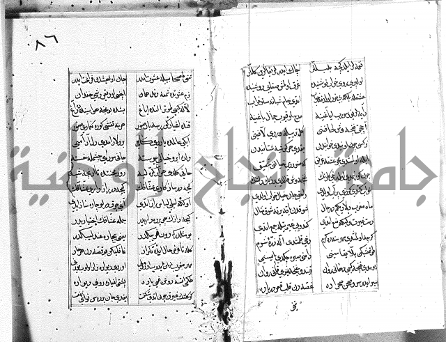 كتاب يوسف زليخا المؤلف 