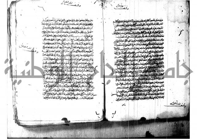 شرح شذور الذهب لابن هشام