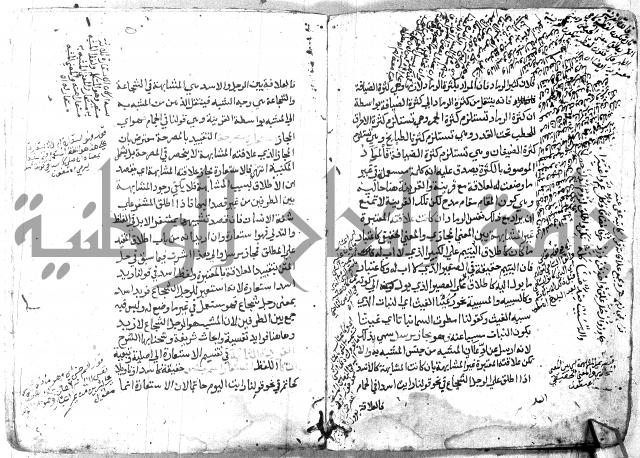 شرح الاستعارة الصغير للملوي