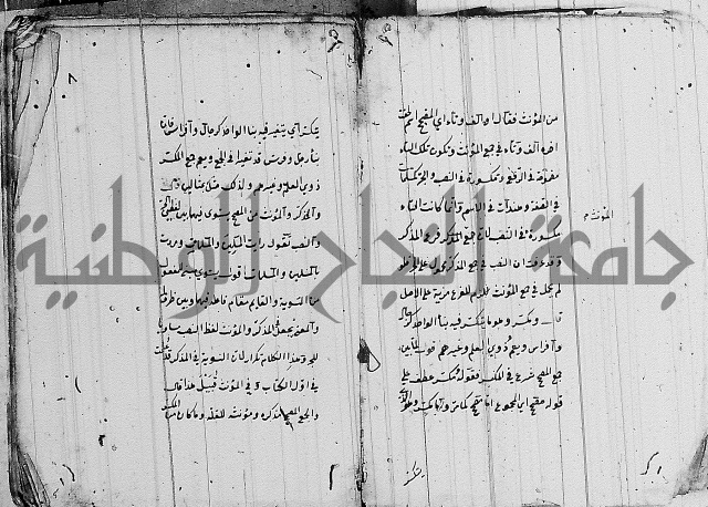 شرح الانموذج
