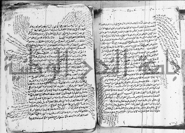 الزيادي على المنهج 