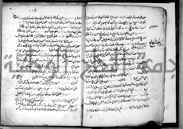 الفتاوى الامينية