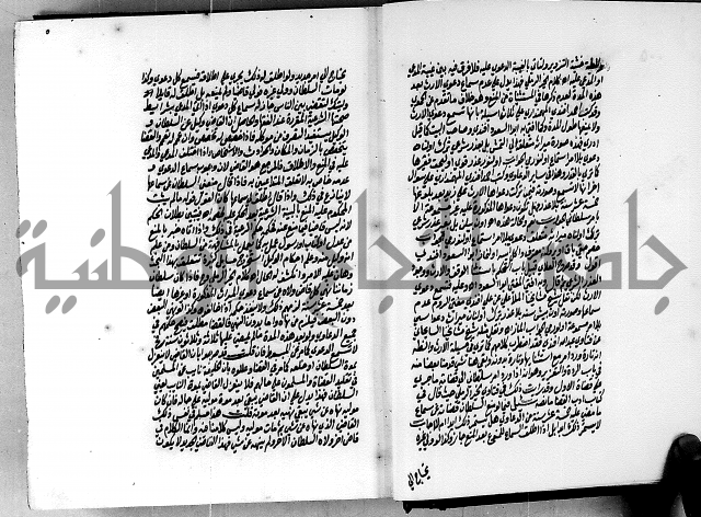 الجواهر الدورية في تنقيح الفتاوى الحامدية ج2 