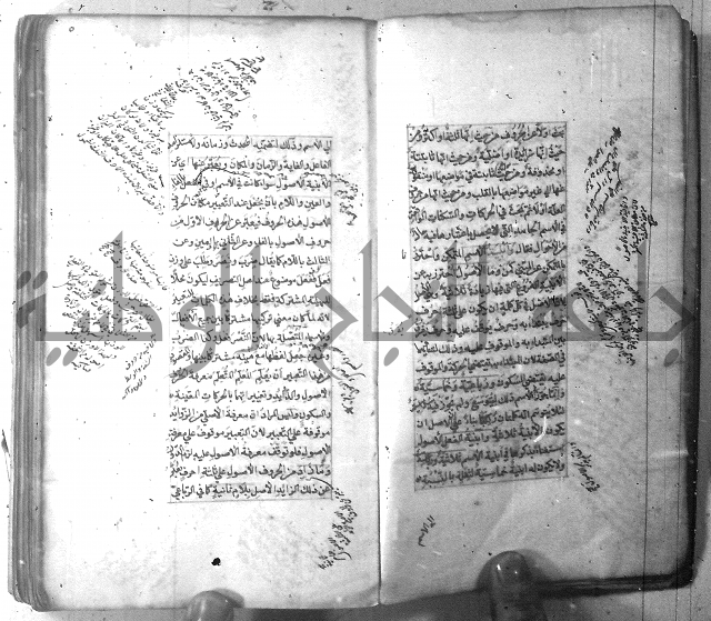 شرح الشافية 